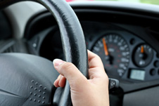 Fleet Drivers Training